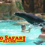 Rio Safari Elche