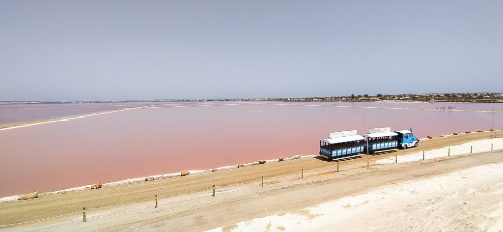 Spain's Pink-Water Lake, Las Salinas de Torrevieja - Apartment