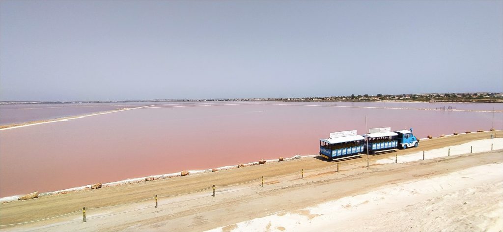 Spain's Pink-Water Lake, Las Salinas de Torrevieja - Apartment Costa Blanca